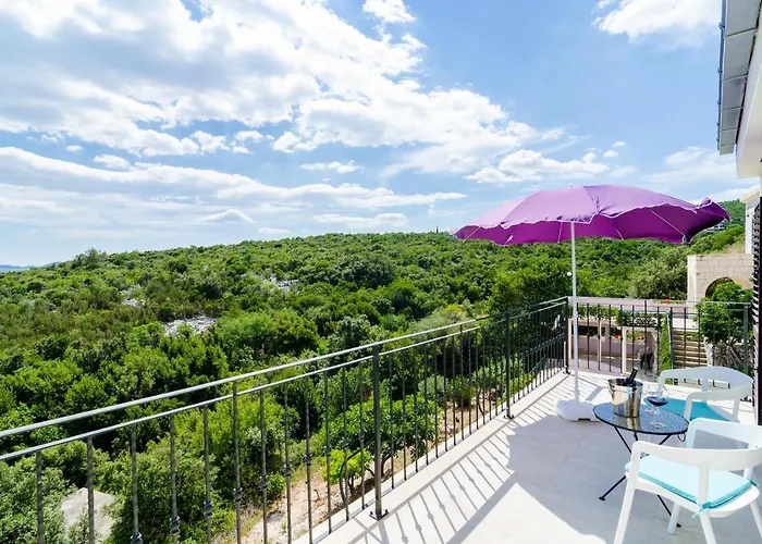 Quiet Seaview Villa Dubrovnik Region 别墅